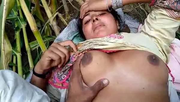 Village Bhabhi Fucked by Lover in the Sugarcane Field